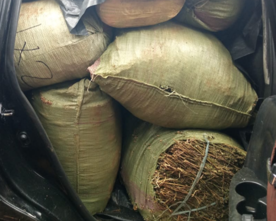 Kisii: Police Arrest Five Suspects, 588kgs Of Bhang Recovered 