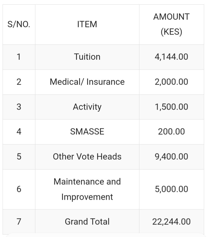 2024 Revised Secondary School Fees Structure Per Category 